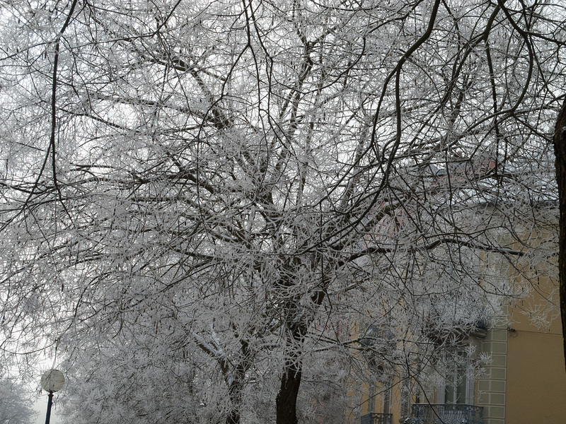 BELFORT: Brouillard givrant du 21 janvier 2016 - 05