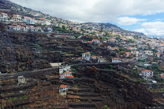 über dem Waldbrandgebiet - Brand vom August 2016 bei/in Funchal (© Buelipix)