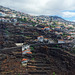 über dem Waldbrandgebiet - Brand vom August 2016 bei/in Funchal (© Buelipix)