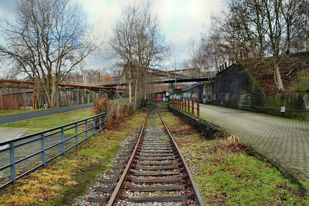 Altes Gleis im Westpark (Bochum) / 14.01.2019