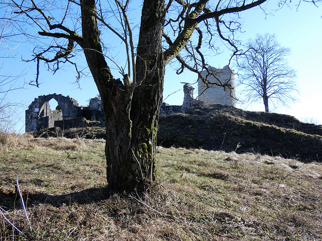 Burgruine Kallmünz