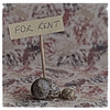 For Rent