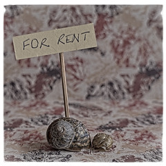 For Rent For Rent