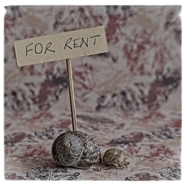 For Rent