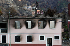 über dem Waldbrandgebiet - Brand vom August 2016 bei/in Funchal (© Buelipix)