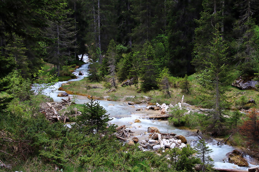 L'eau vive