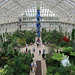 The Temperate House