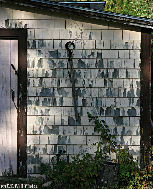 Roadside Shed