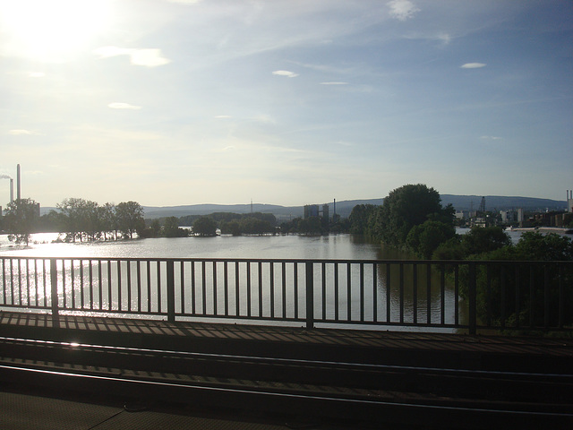 Hochwasser am Rhein bei Wi-Biebrich