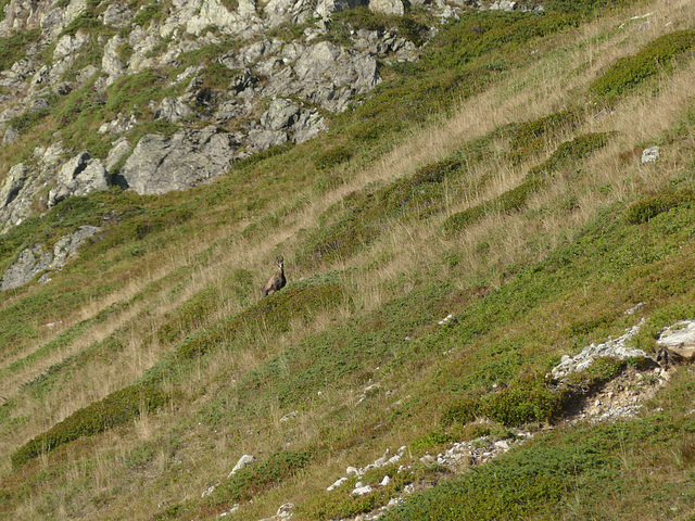 20240826 -0903 Valgaudemar (Ecrins) (285)