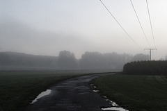 2025 365-248 2025 365-248