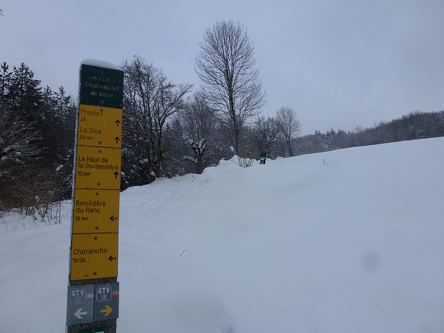 20150131 Raquettes Vercors La Goulandiere (44) al