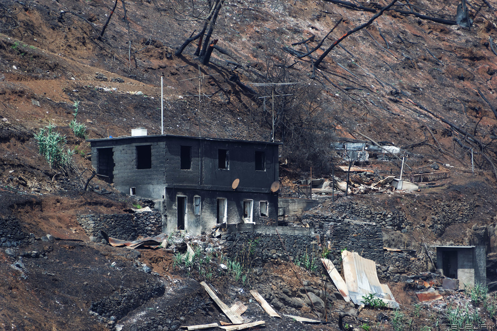 über dem Waldbrandgebiet - Brand vom August 2016 bei/in Funchal (© Buelipix)