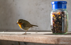 Waiting for my man to open my breakfast jar!