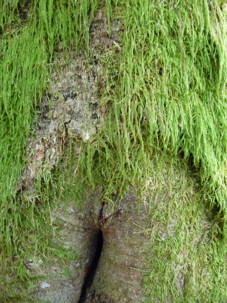 P1230098