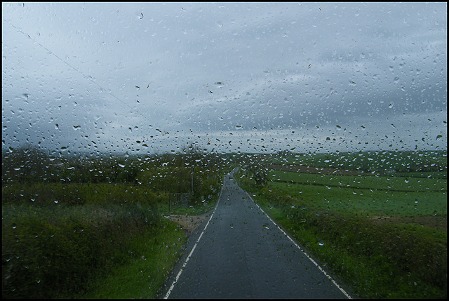 bussing through the raindrops