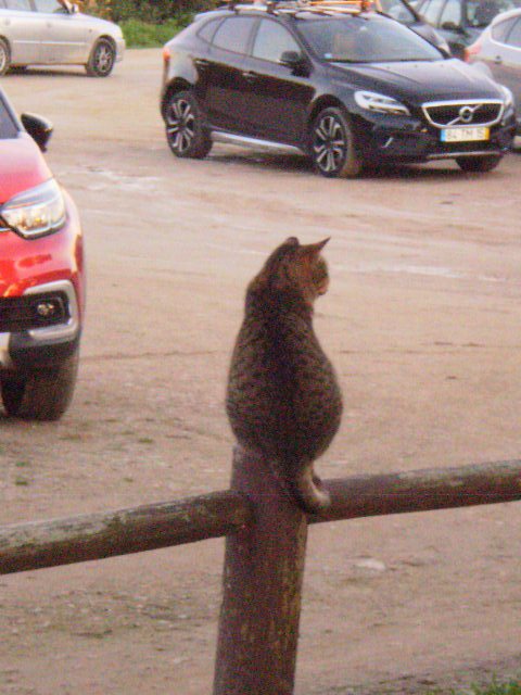 Parking supervisor.