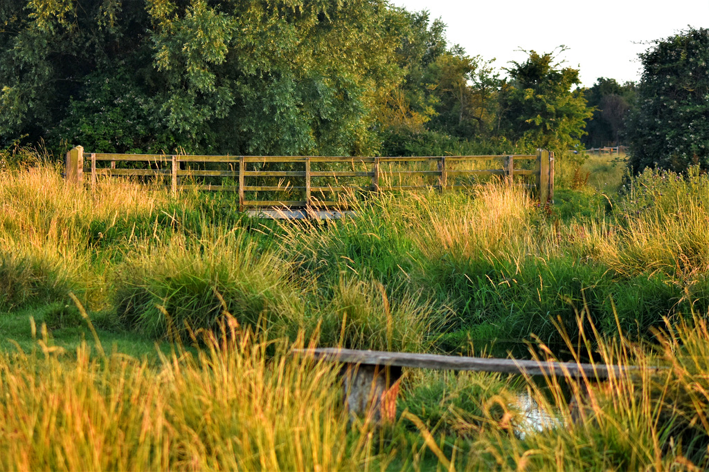 Bench, river, and bridge with a wooden fence.