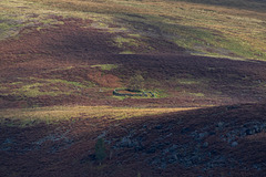 Crowden-04-10-20-1-7