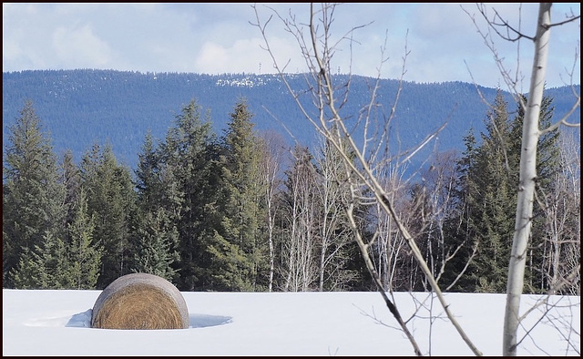 Still lots of snow - End of March!