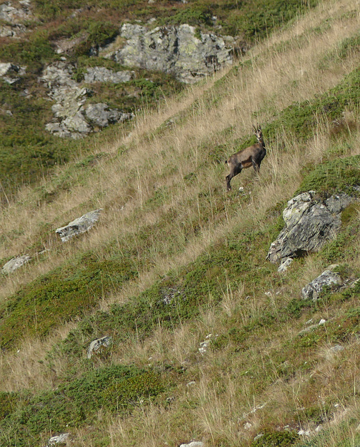 20240826 -0903 Valgaudemar (Ecrins) (291) rec