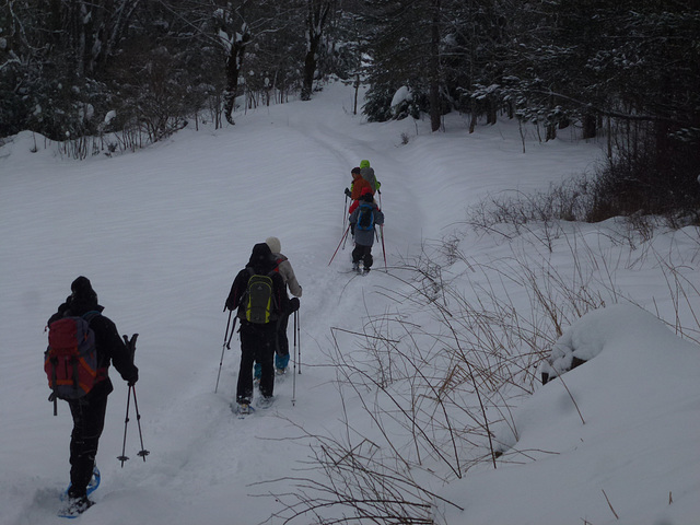 20150131 Raquettes Vercors La Goulandiere (45) al