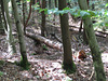 am Schwarzerberg 2