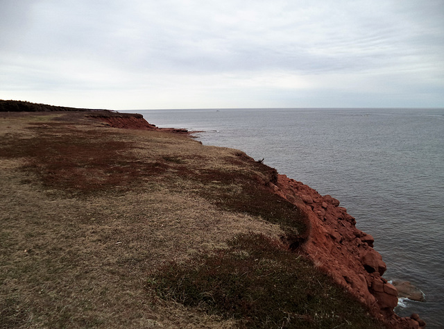 Côte princière / Princely coast