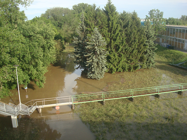 Hochwasser am Rhein bei Wi-Biebrich