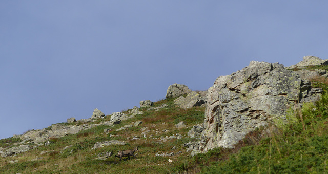 20240826 -0903 Valgaudemar (Ecrins) (299)