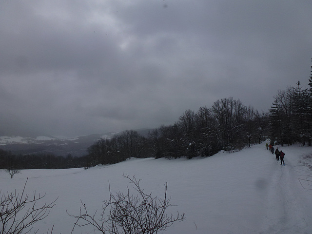 20150131 Raquettes Vercors La Goulandiere (46) al