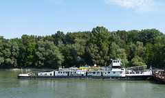 Mohacs- Ukrainian Cargo Ship 'Mikhail Popov'