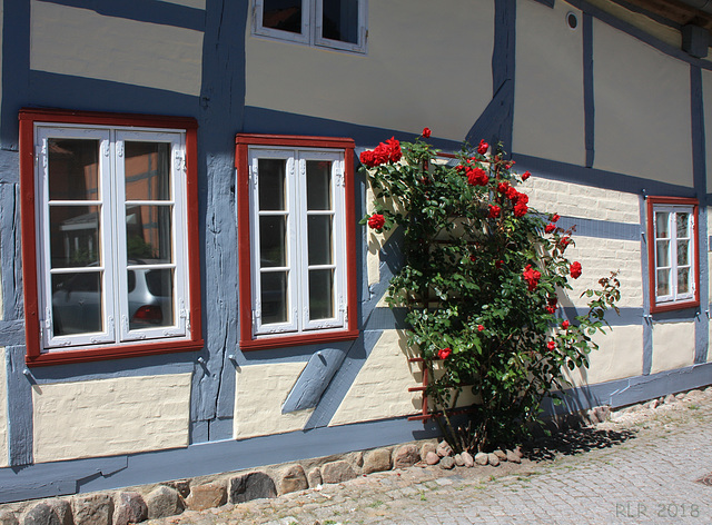 Rehna, "Mauerblümchen" am Fachwerk