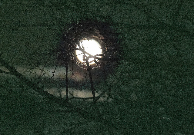 Totally failed to capture Fridays wonderful moon!!!