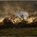 Chiltern Sunset