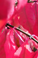 more color more color