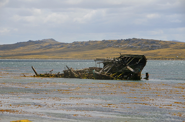 JELLUM wreck, Stanley