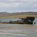 JELLUM wreck, Stanley