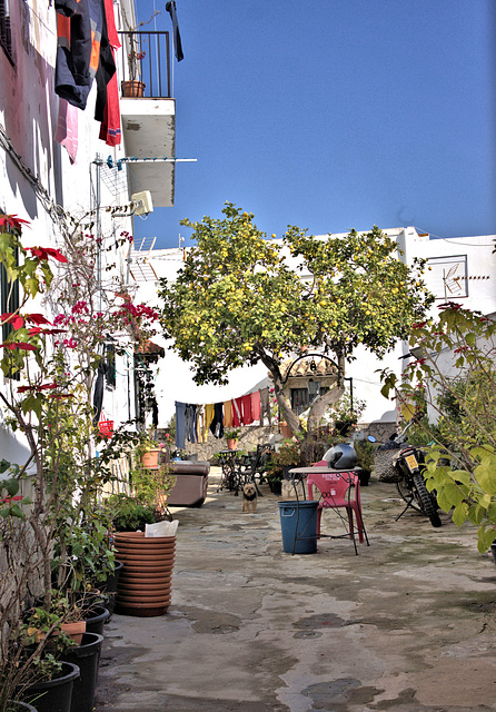 Alcalá de los Gazules