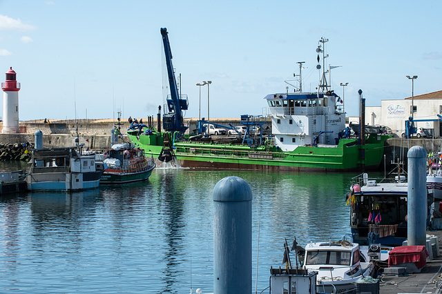 Fort Boyard im Hafen von La Cotinière - 2016-04-27_D4_DSC6775