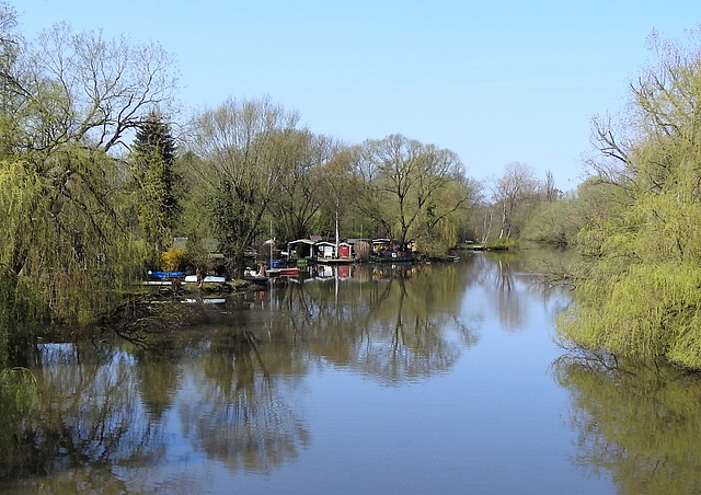 Dove Elbe Wilhelmsburg