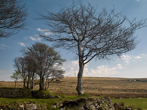 Dartmoor