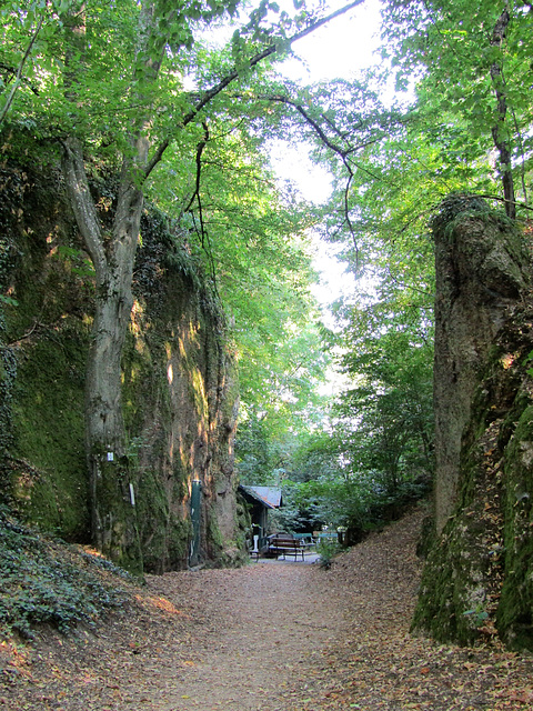 Weg zur Lourdes-Grotte