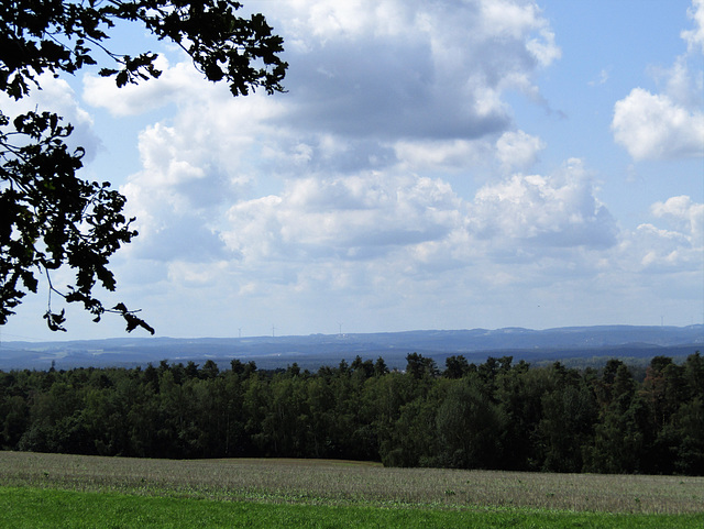 Blick vom Waldesrand  in die Ferne