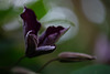 DSCF1359