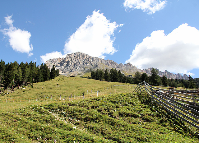 Blick auf das Latemar