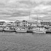 Vardø