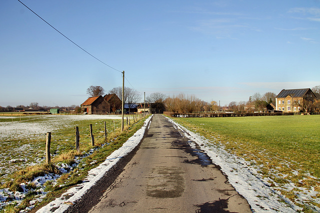 Schmerhöfeler Weg (Bönen) / 3.02.2019