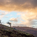 From the Snowdon Viewpoint