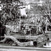 08 copy 2